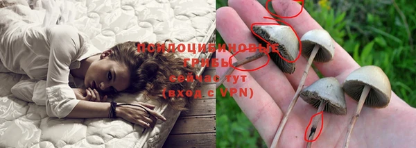 герыч Абинск